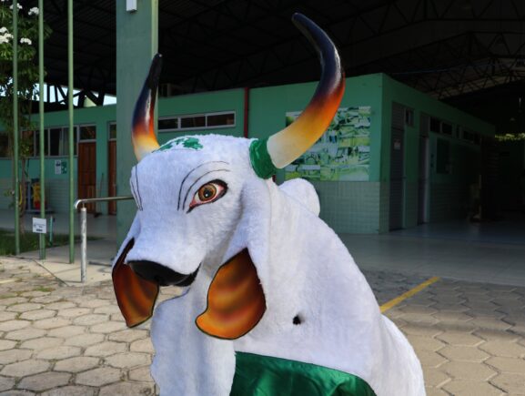 FUnATI aproxima idosos da cultura regional com escolha do nome do boi-bumbá da instituição