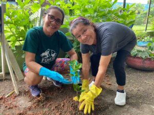 Dia Mundial do Meio Ambiente: FUnATI reforça compromisso com a longevidade e a preservaçã…